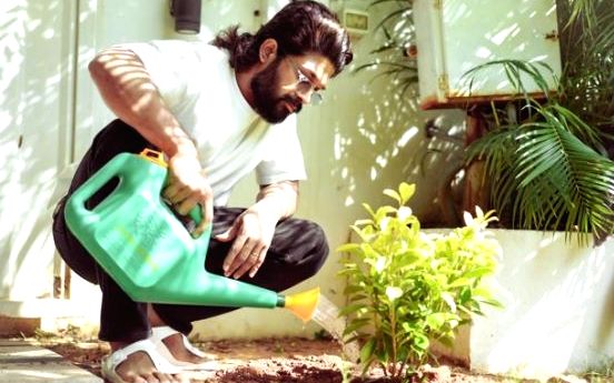 Allu Arjun&#039;s message on World Environment Day: &#039;Let&#039;s do our small bit&#039;