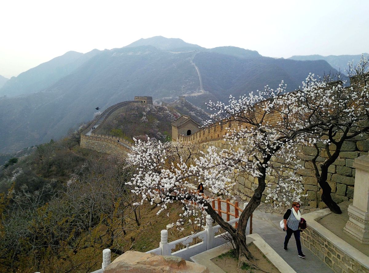 Spring at Great Wall