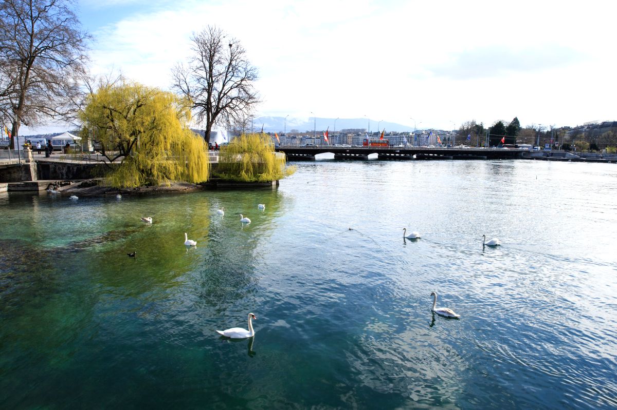 Geneva, Switzerland: The Swiss Clean Rule