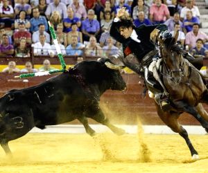 The Art of Bullfighting Around the World