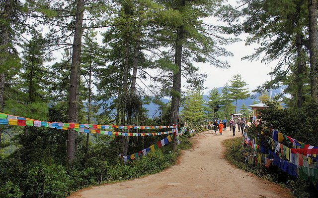 Road leading to the monastery